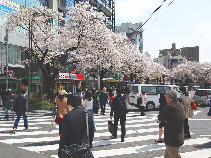 横断歩道を渡り道なりに進みます。